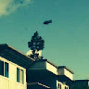 Meet your Posher, Leila